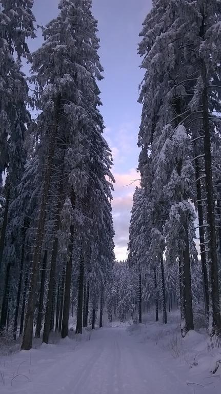 Waldpension Harzer Waldwinkel Bad Grund Luaran gambar