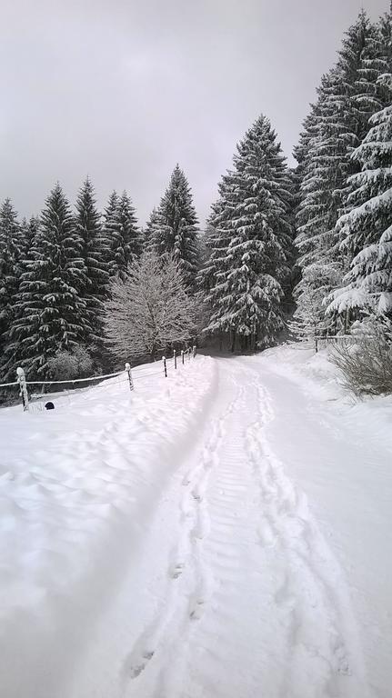 Waldpension Harzer Waldwinkel Bad Grund Luaran gambar