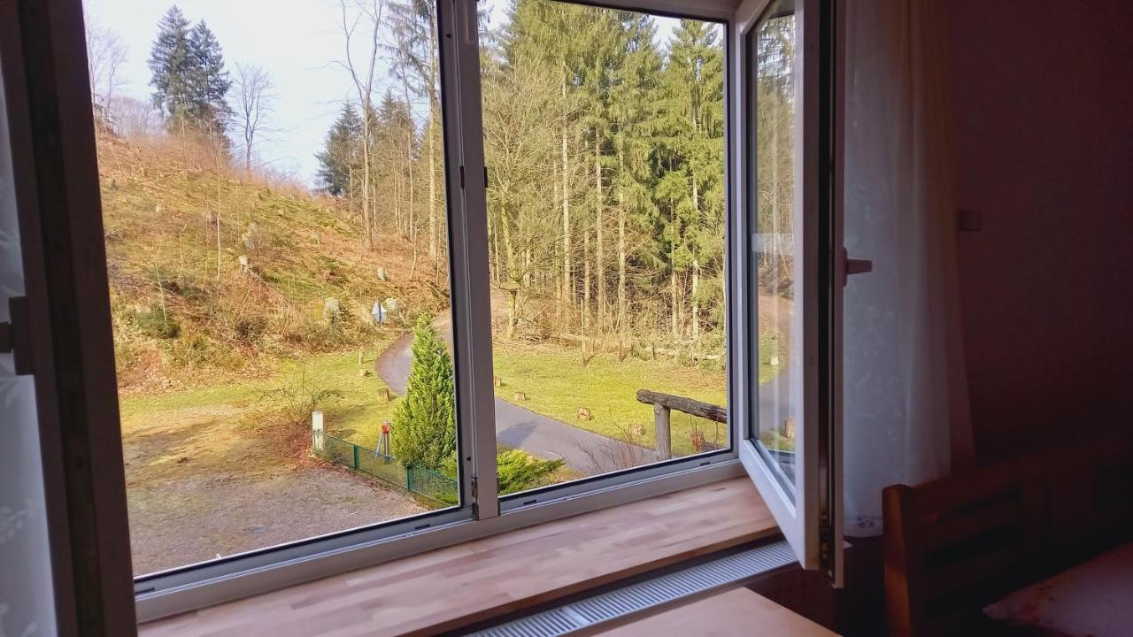 Waldpension Harzer Waldwinkel Bad Grund Luaran gambar