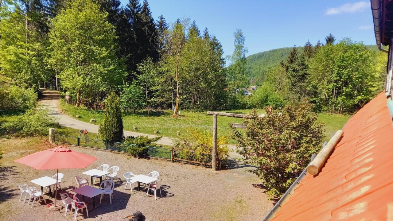 Waldpension Harzer Waldwinkel Bad Grund Luaran gambar
