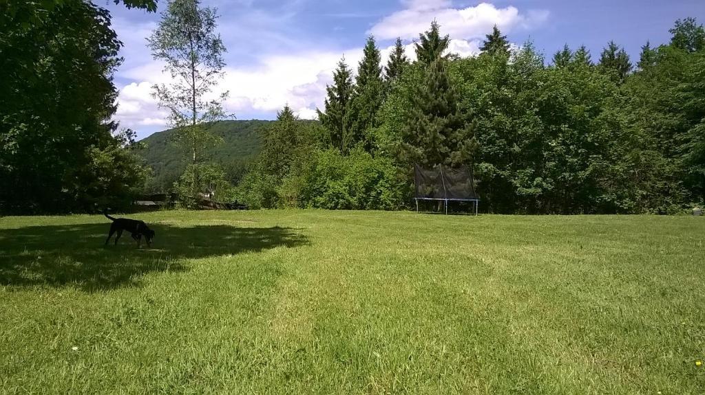 Waldpension Harzer Waldwinkel Bad Grund Luaran gambar